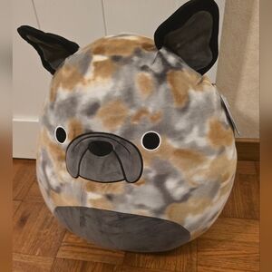 Squishmallows The French BullDog 16" RARE Plush Toy  ~ 2025, Nwt